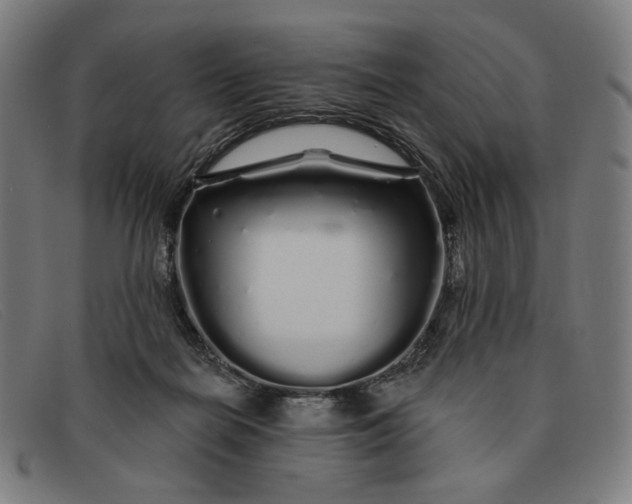 X0000091310266200708311403