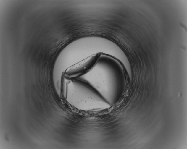 X0000091310268200708311403