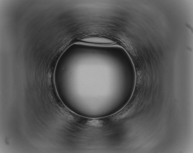 X0000091310269200708311403