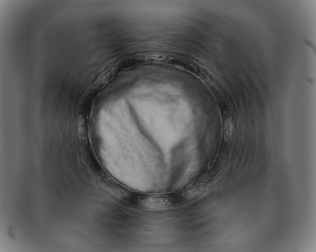 X0000091310270200708311403