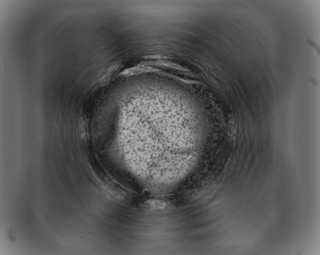 X0000091310272200708311403