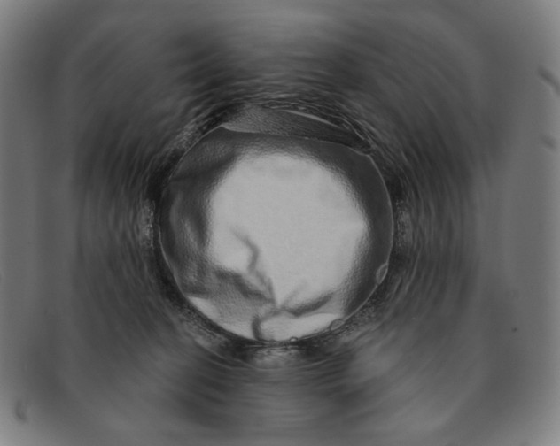 X0000091310274200708311403