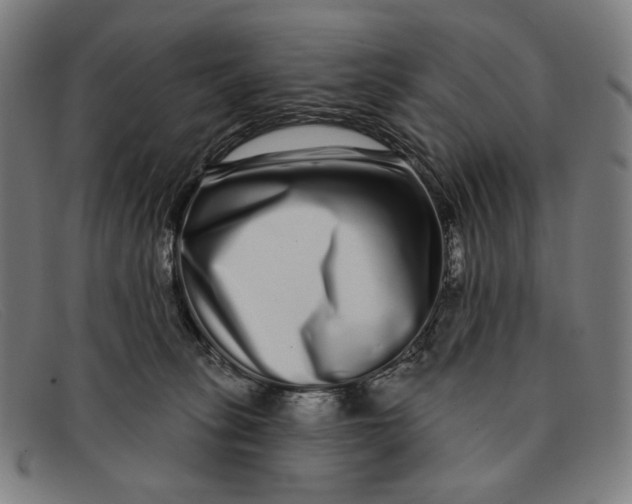 X0000091310275200708311403