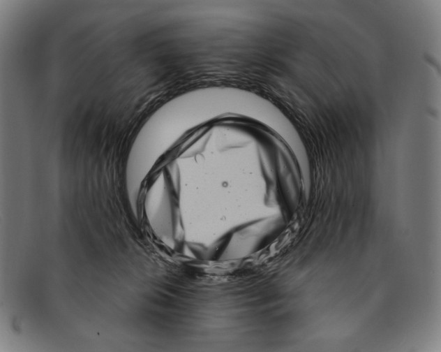 X0000091310276200708311403