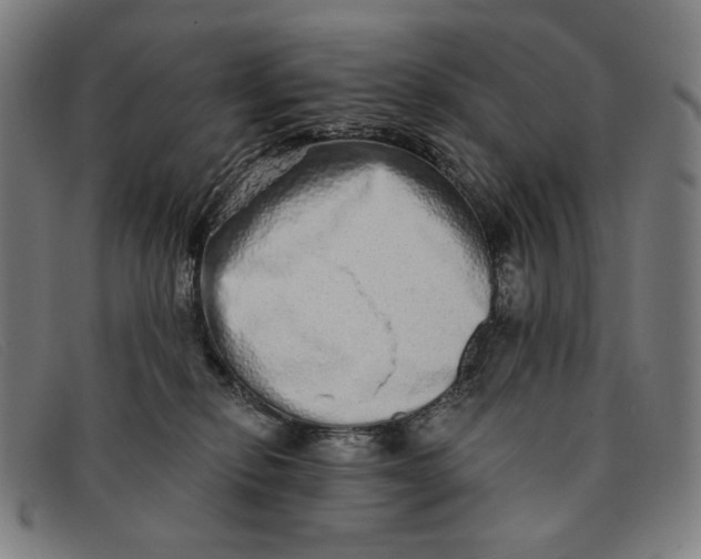 X0000091310278200708311403