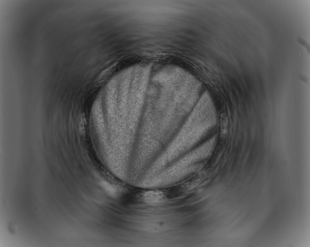 X0000091310279200708311403