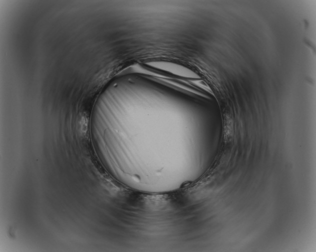 X0000091310281200708311403