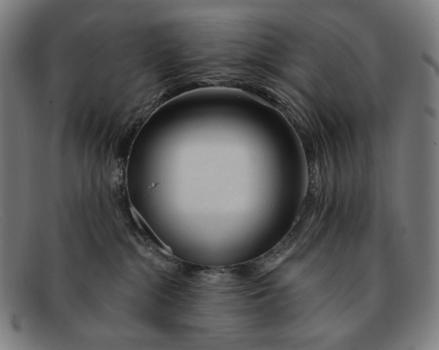 X0000091310284200708311403