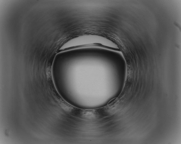 X0000091310285200708311403