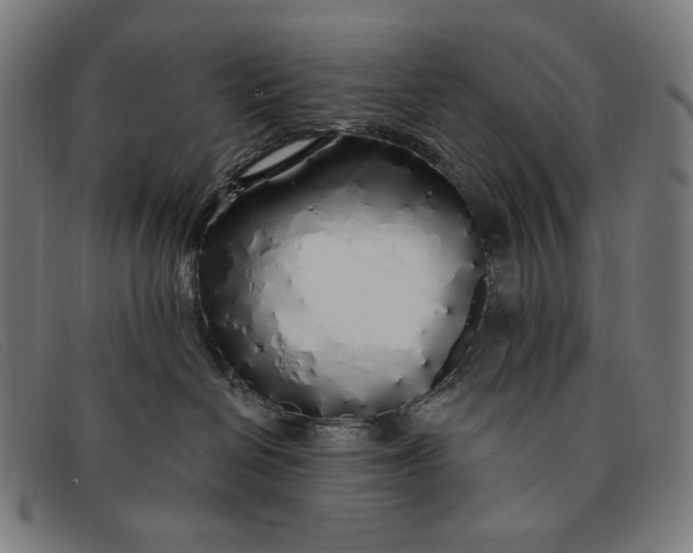 X0000091310286200708311403