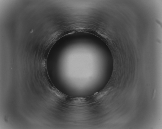 X0000091310288200708311403