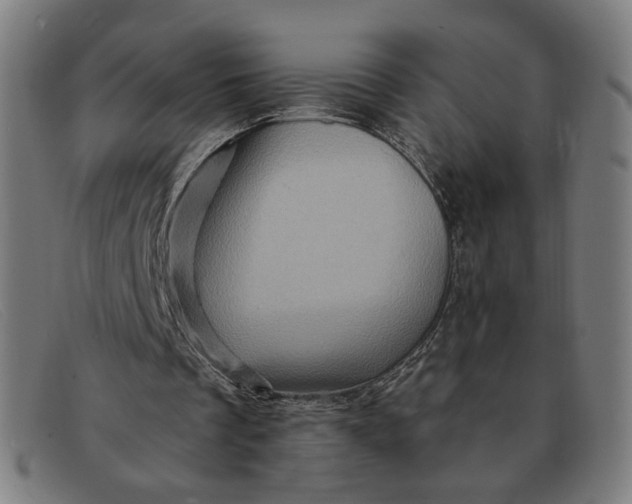 X0000091310289200708311402