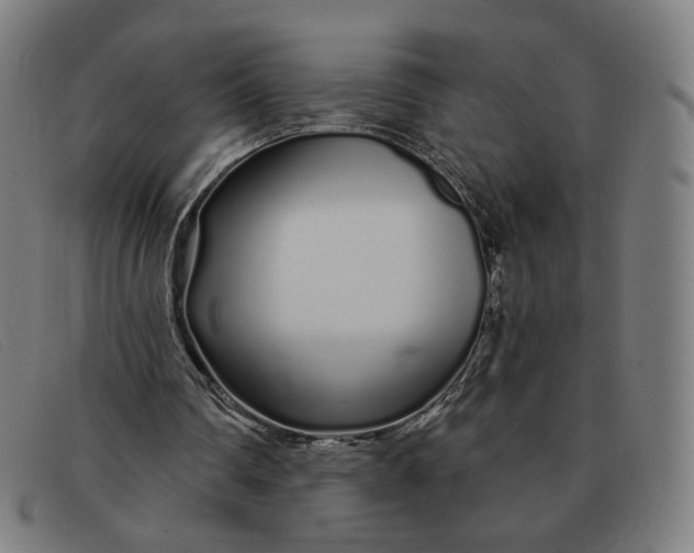 X0000091310290200708311402