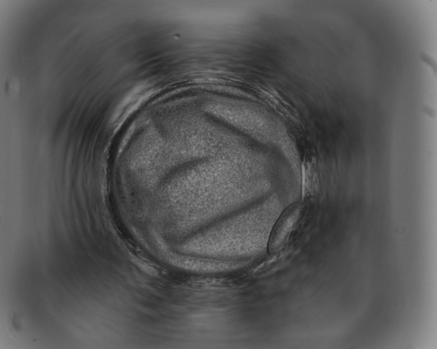 X0000091310291200708311402