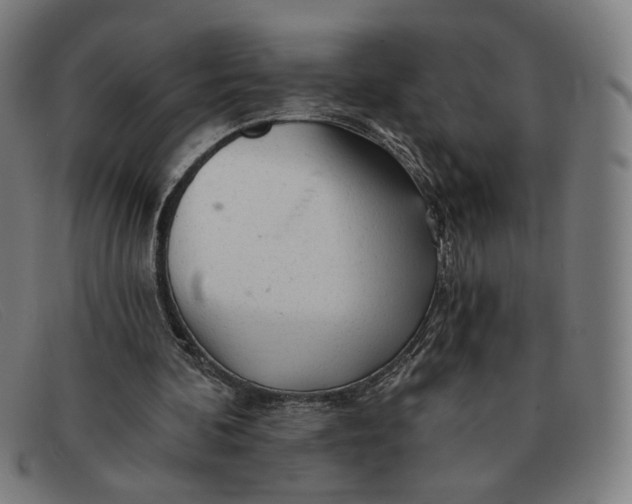 X0000091310292200708311402