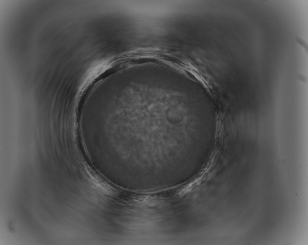 X0000091310293200708311402