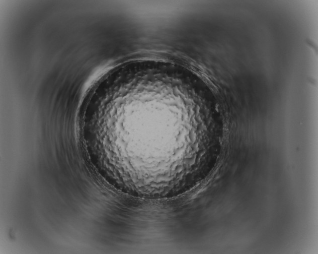 X0000091310294200708311402