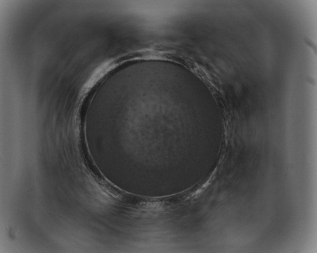 X0000091310295200708311402