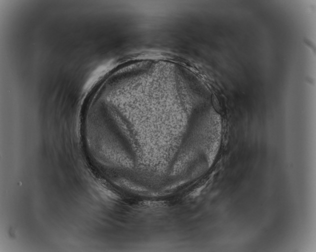 X0000091310296200708311402