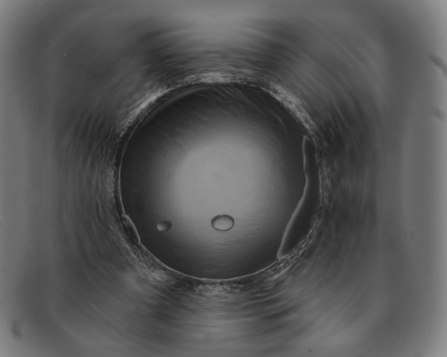 X0000091310297200708311402