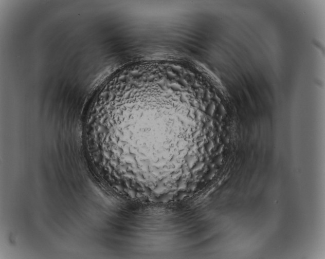 X0000091310298200708311402