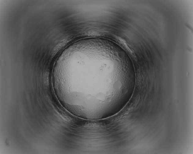 X0000091310299200708311402