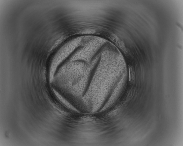 X0000091310300200708311402