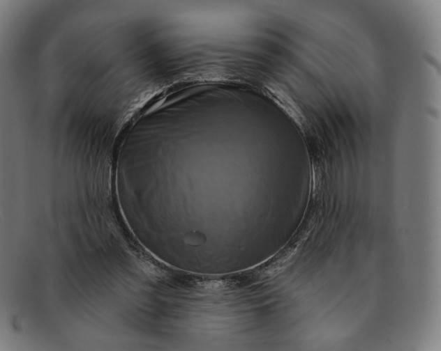 X0000091310301200708311402