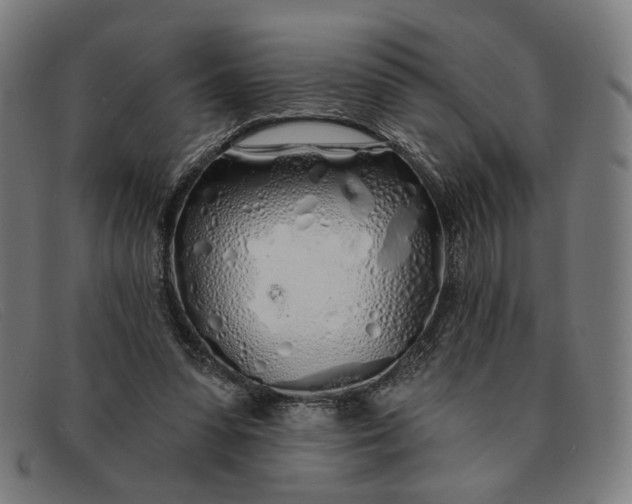 X0000091310303200708311402