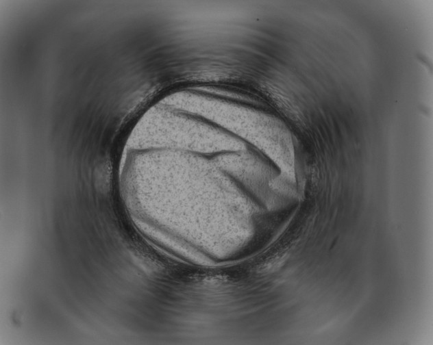 X0000091310304200708311402