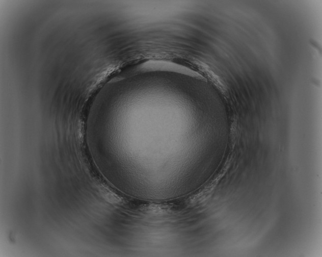 X0000091310305200708311402