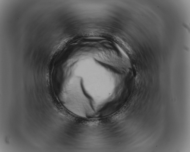 X0000091310306200708311402