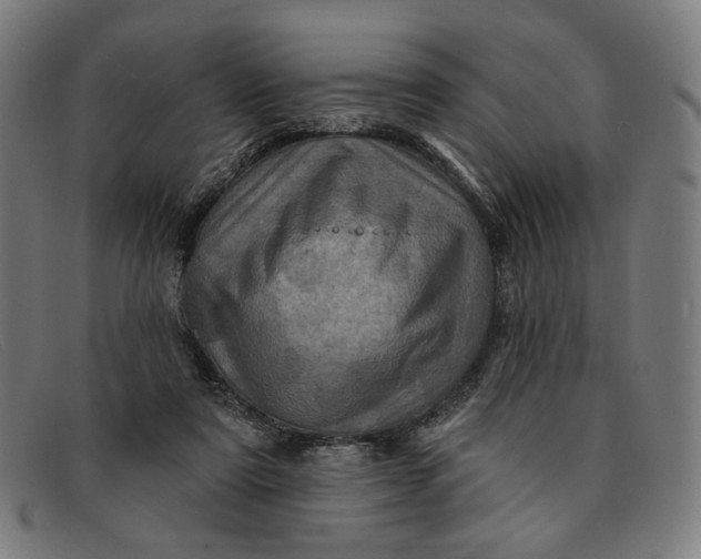 X0000091310307200708311402