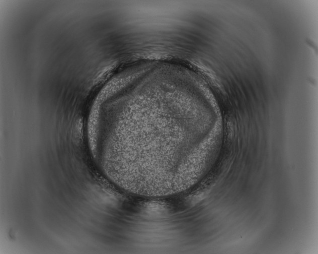 X0000091310308200708311402