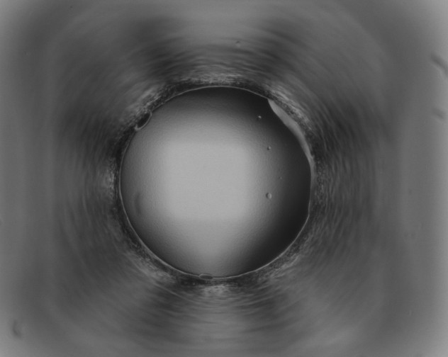 X0000091310309200708311402