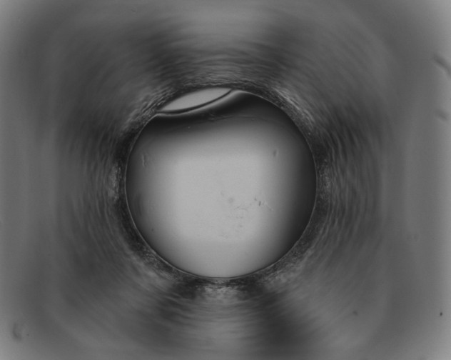 X0000091310311200708311402