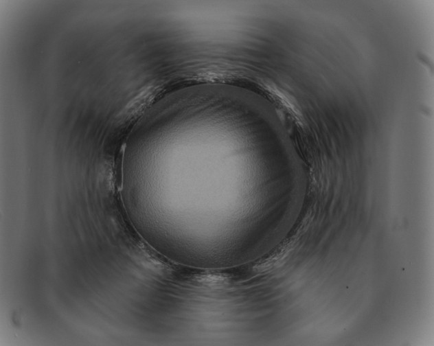 X0000091310313200708311402