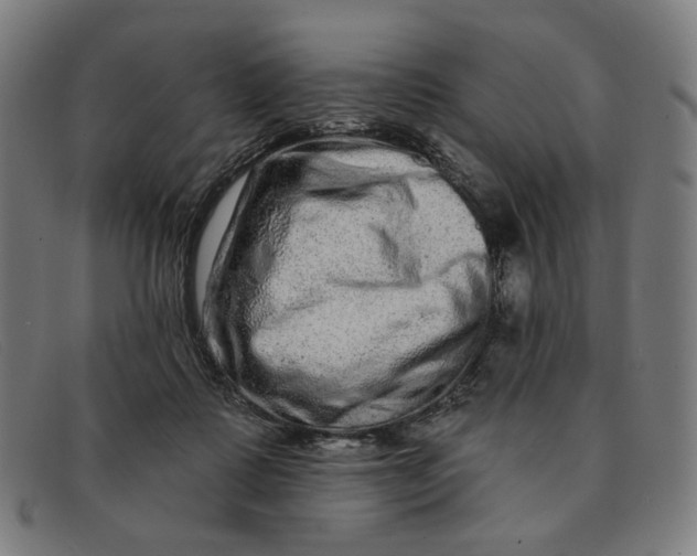 X0000091310315200708311402