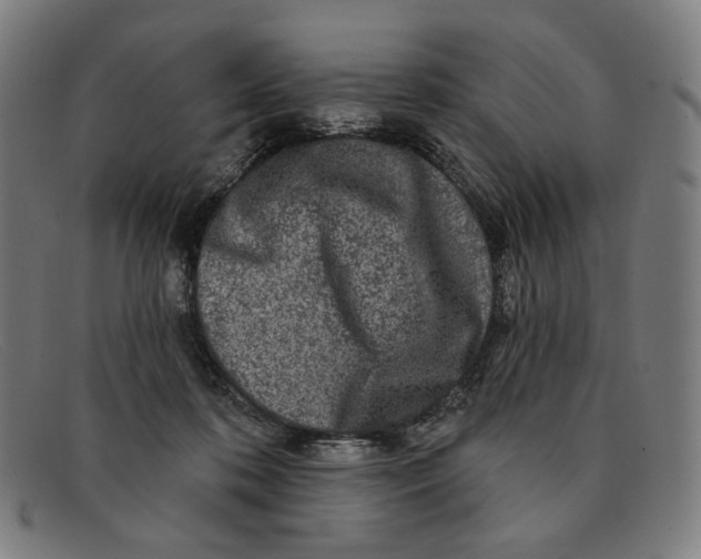 X0000091310316200708311402