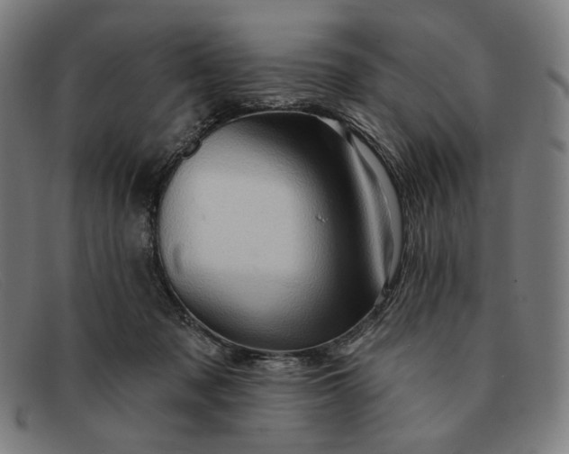 X0000091310317200708311402