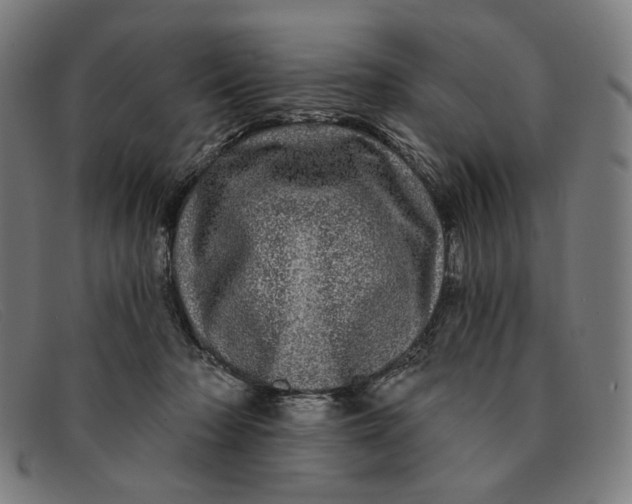 X0000091310318200708311402