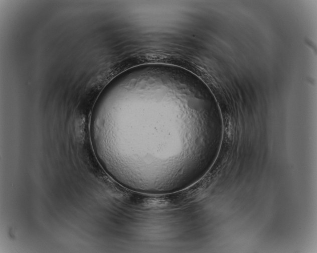 X0000091310319200708311402