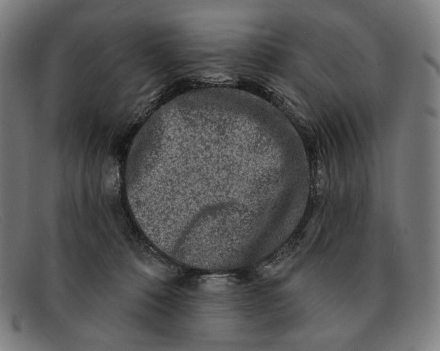 X0000091310320200708311402