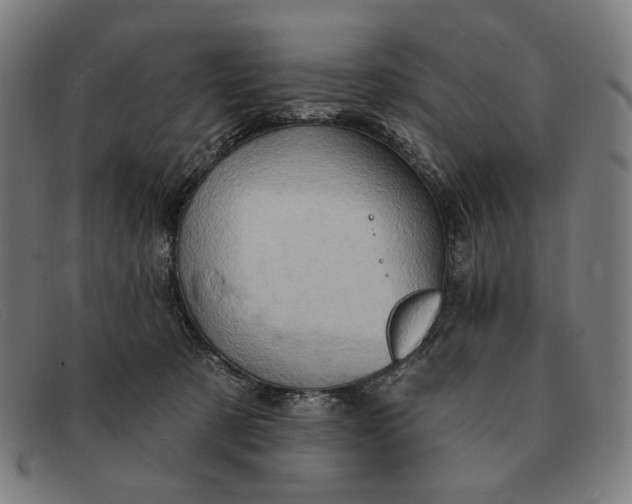 X0000091310321200708311402