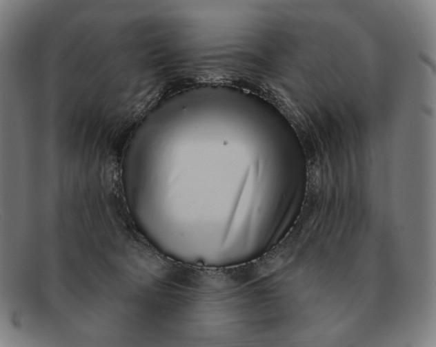 X0000091310322200708311402