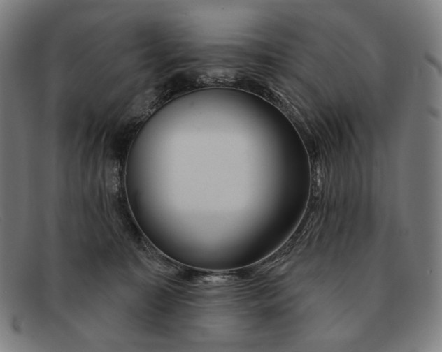 X0000091310323200708311402