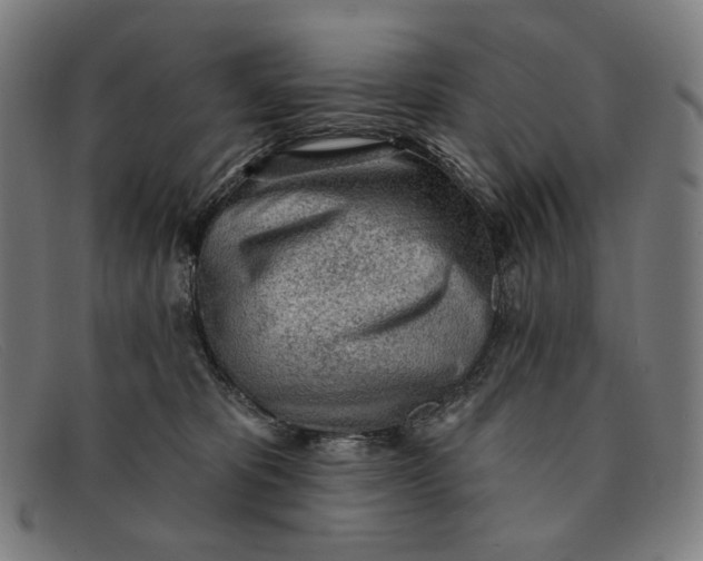 X0000091310325200708311402