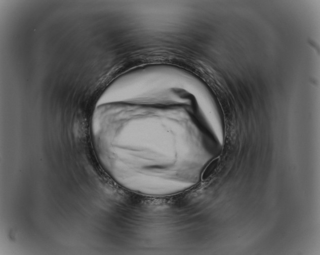 X0000091310326200708311402