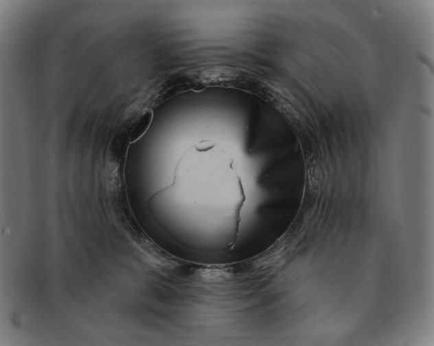 X0000091310327200708311402