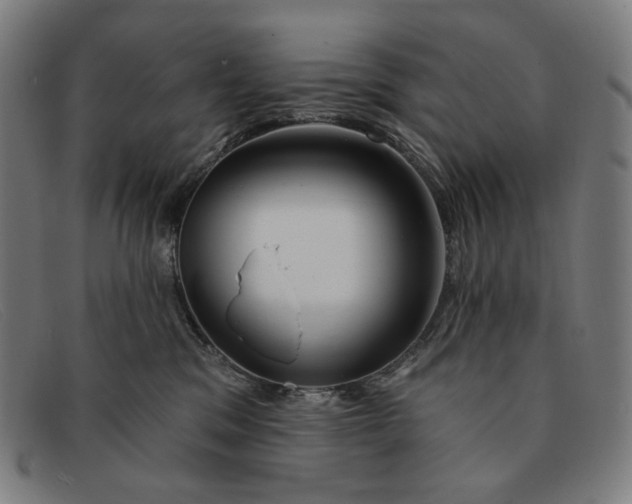 X0000091310329200708311402